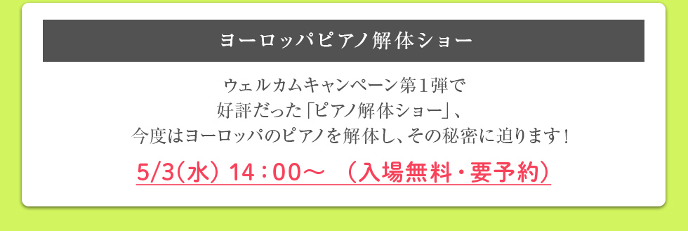 ヨーロッパピアノ解体ショー