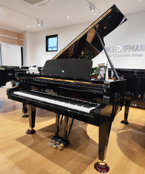 ベヒシュタイン A.160