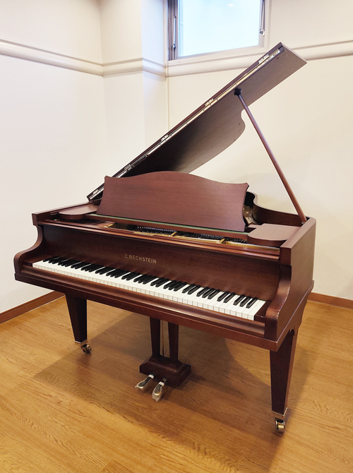 ベヒシュタイン L-165