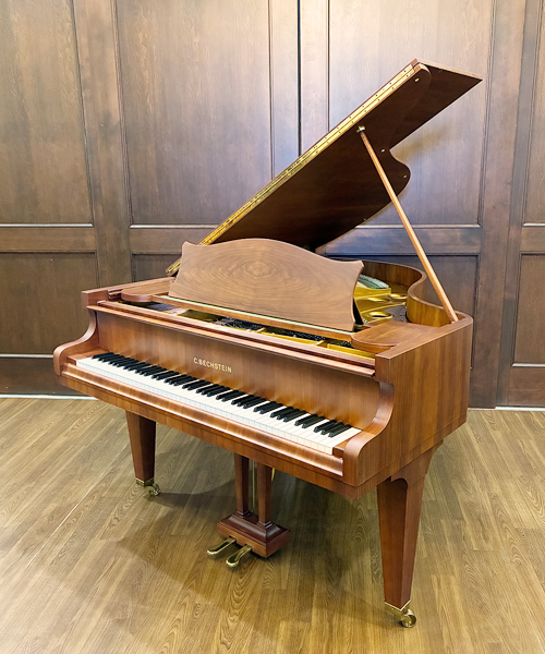 ベヒシュタイン L-167